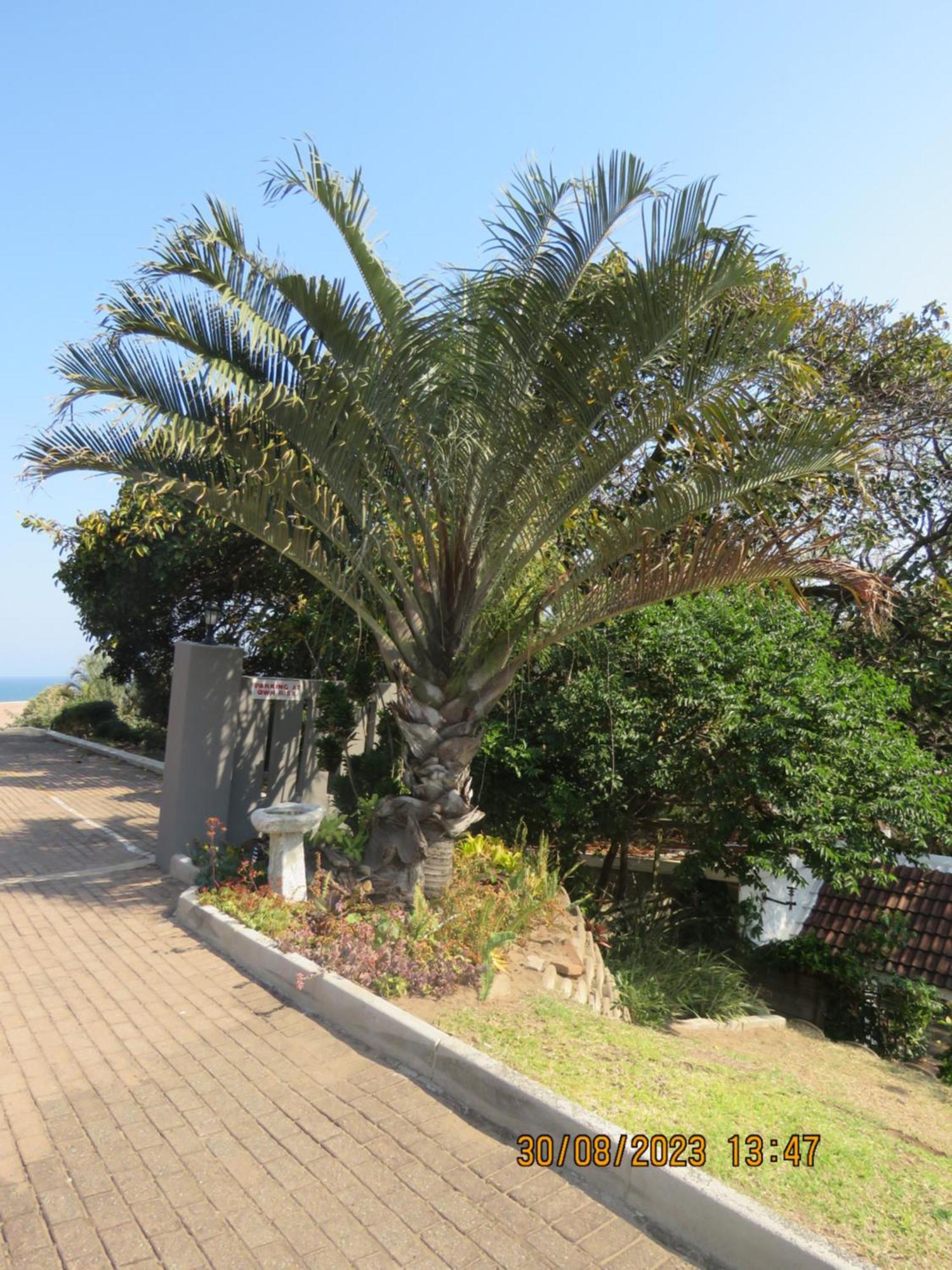 Beachcomber Bay Guest House In South Africa Margate Bagian luar foto